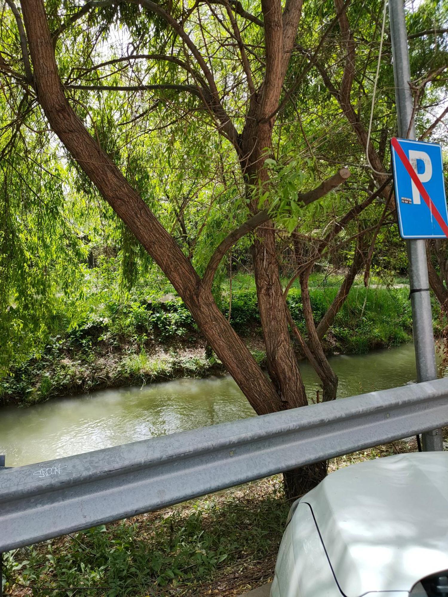 Cozy Apartment Bucharest Roşu Kültér fotó